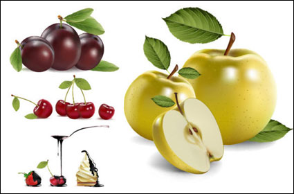 4 real fruit Vector